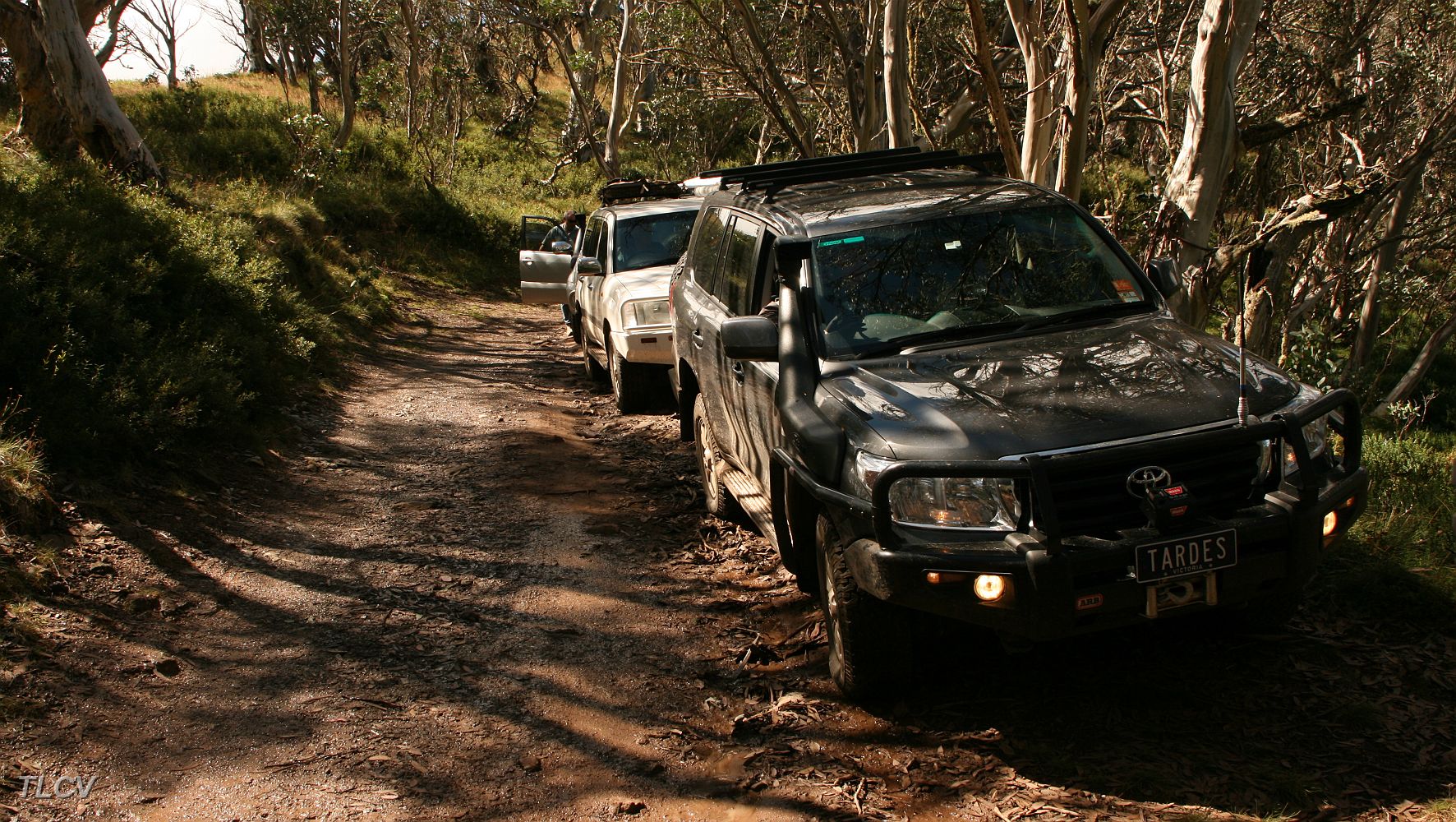 Picture Point Carpark.JPG
